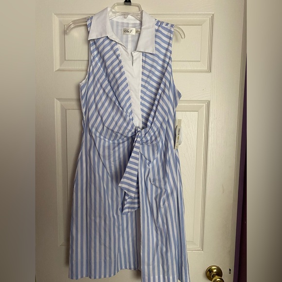 Eliza J Sleeveless Shirtdress, Size 14 - Blue at Nordstrom Rack Eliza J Sleeveless Shirtdress, Size 14 - Blue at Nordstrom Rack